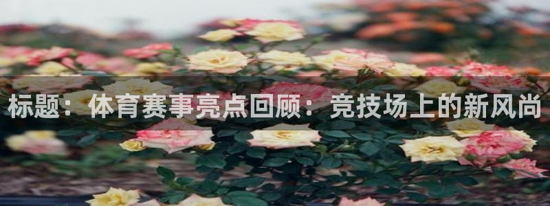 福建意昂机电股份公司：标题：体育赛事亮点回顾：竞技场上的新风尚