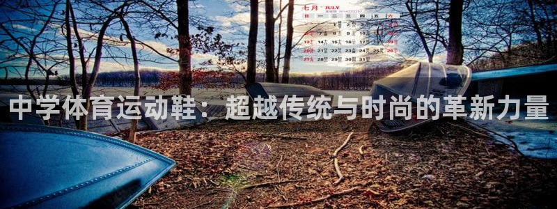 杏宇集团股票：中学体育运动鞋：超越传统与时尚的革新力量