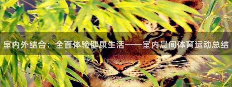 杏宇代理：室内外结合：全面体验健康生活——室内晨间体育运动总结