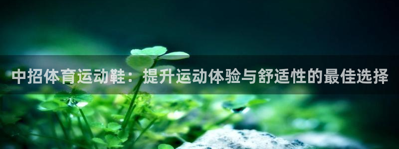 杏宇体育老板是谁：中招体育运动鞋：提升运动体验与舒适性的最佳选择