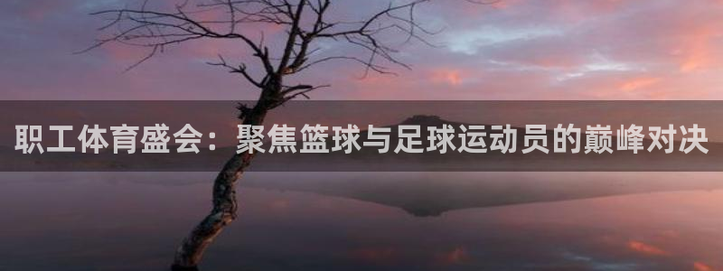 杏宇：职工体育盛会：聚焦篮球与足球运动员的巅峰对决