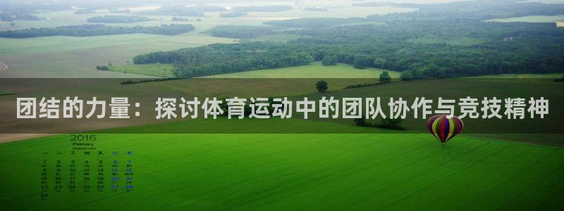 杏宇3登录：团结的力量：探讨体育运动中的团队协作与竞技精神