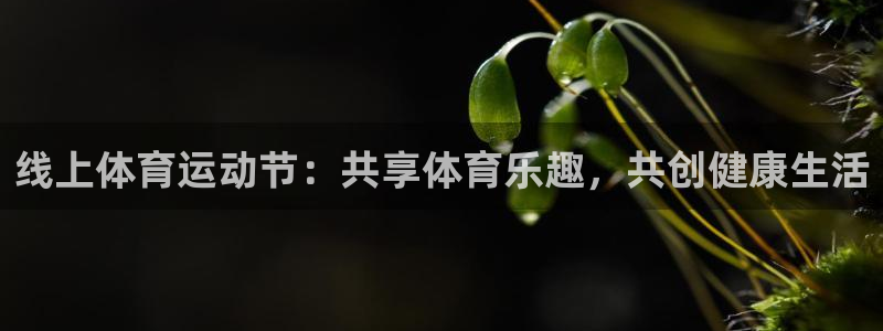 杏宇5：线上体育运动节：共享体育乐趣，共创健康生活