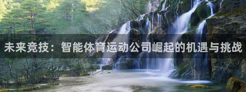 东莞市大朗意昂五金厂：未来竞技：智能体育运动公司崛起的机遇与挑战