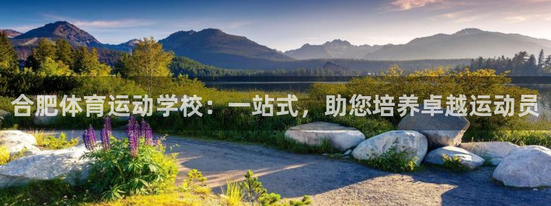 杏宇平台注册：合肥体育运动学校：一站式，助您培养卓越运动员