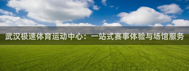 杏宇登录注册：武汉极速体育运动中心：一站式赛事体验与场馆服务