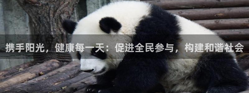 杏宇主管：携手阳光，健康每一天：促进全民参与，构建和谐社会