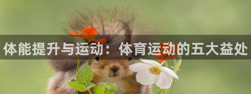 杏宇平台登录：体能提升与运动：体育运动的五大益处