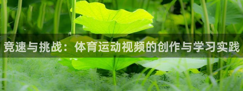 杏宇2官网：竞速与挑战：体育运动视频的创作与学习实践