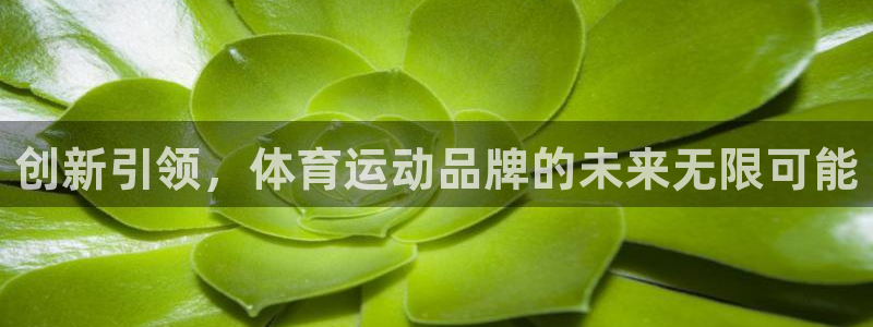 意昂是什么品牌：创新引领，体育运动品牌的未来无限可能