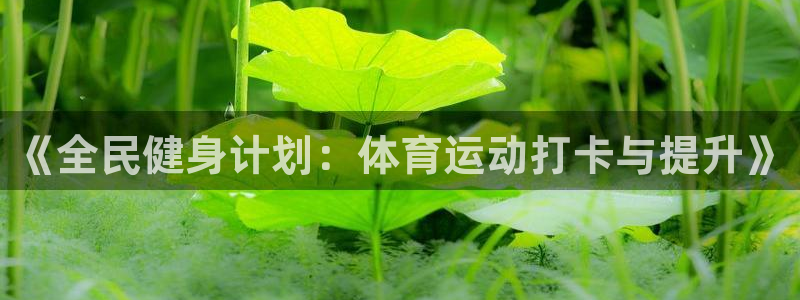 意昂平台：《全民健身计划：体育运动打卡与提升》