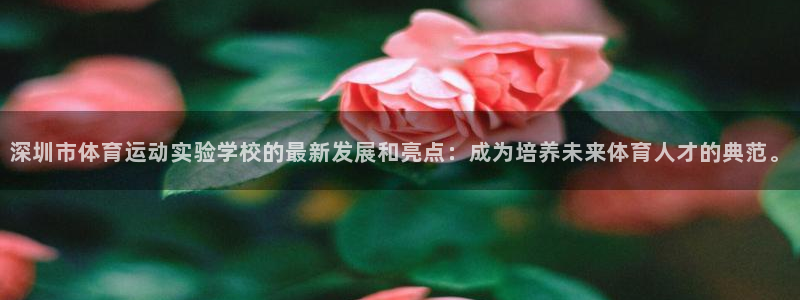 意昂平台注册：深圳市体育运动实验学校的最新发展和亮点：成为培养未来体育人才的典范