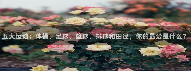 上海杏宇汽车电子有限公司：五大运动：体操、足球、篮球、排球和田径，你的最爱是什么