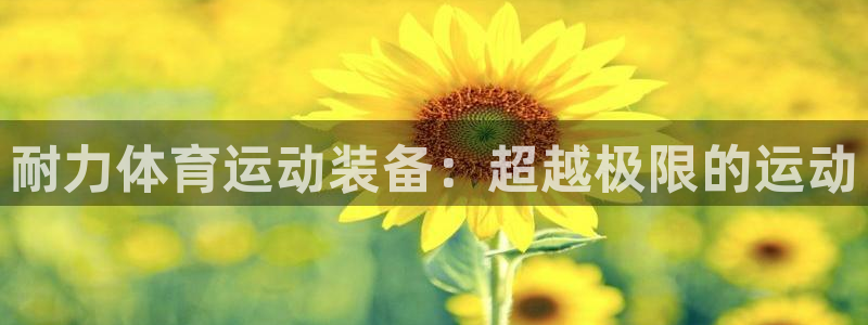 意昂注册：耐力体育运动装备：超越极限的运动