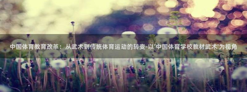 杏宇凯捷注册：中国体育教育改革：从武术到传统体育运动的转变-以\'中国体育学校教