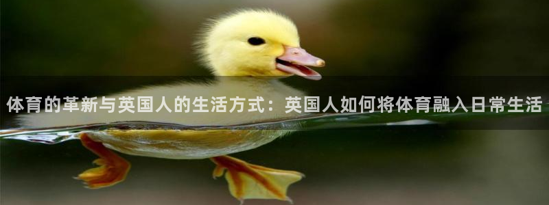 意昂kgame：体育的革新与英国人的生活方式：英国人如何将体育融入日常生活