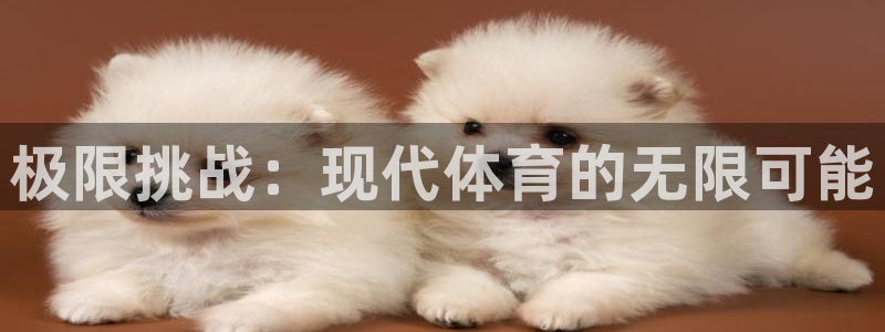 杏宇3官网登录：极限挑战：现代体育的无限可能