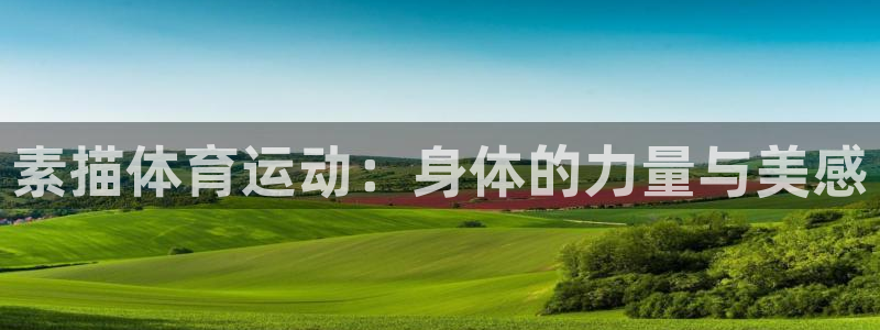 杏宇体育注册：素描体育运动：身体的力量与美感