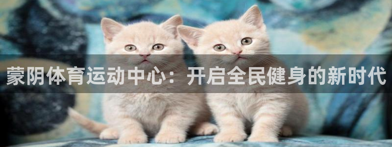 杏宇体育凯捷平台代理：蒙阴体育运动中心：开启全民健身的新时代