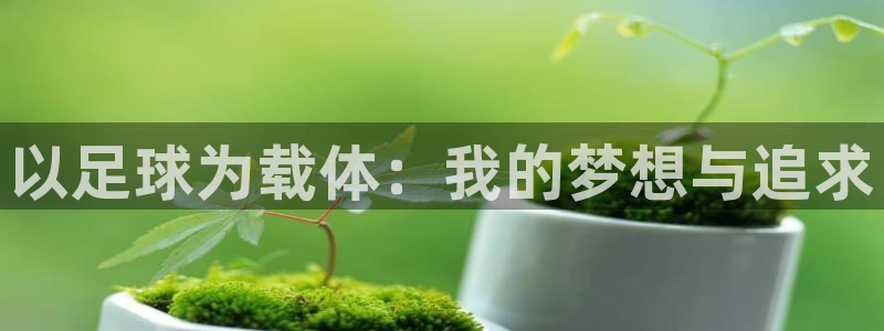 杏宇凯捷注册：以足球为载体：我的梦想与追求