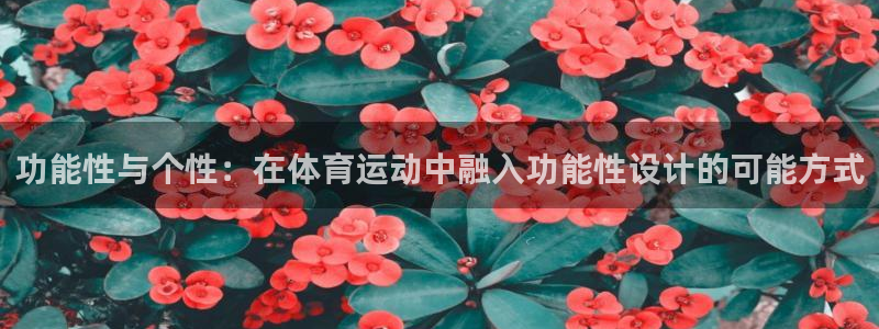 意昂4注册：功能性与个性：在体育运动中融入功能性设计的可能方式