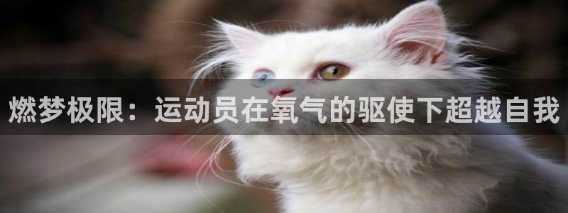 杏宇登录入口：燃梦极限：运动员在氧气的驱使下超越自我