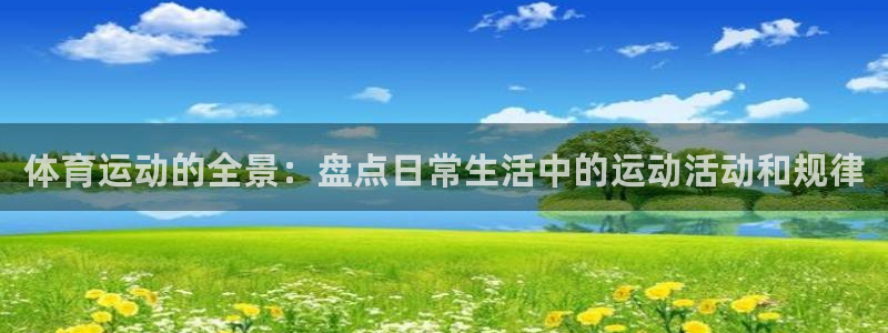 杏宇体育和杏耀是哪个公司的：体育运动的全景：盘点日常生活中的运动活动和规律