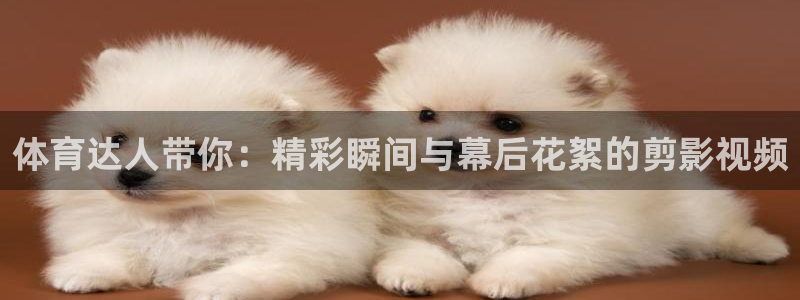 杏宇体育老板是谁：体育达人带你：精彩瞬间与幕后花絮的剪影视频
