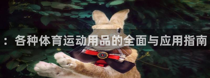 意昂凯捷注册：：各种体育运动用品的全面与应用指南