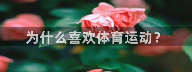 意昂4平台：为什么喜欢体育运动？