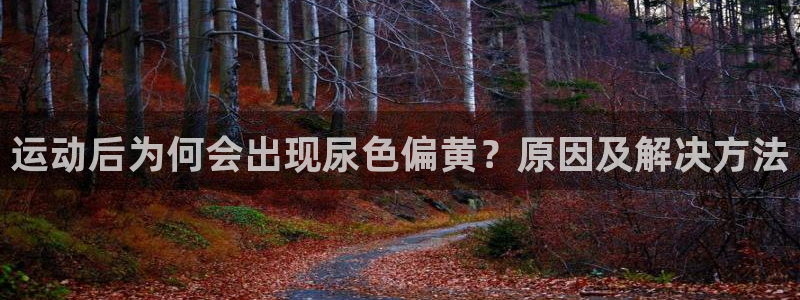 杏宇3登陆：运动后为何会出现尿色偏黄？原因及解决方法