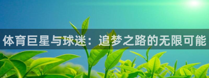 杏宇4登录：体育巨星与球迷：追梦之路的无限可能