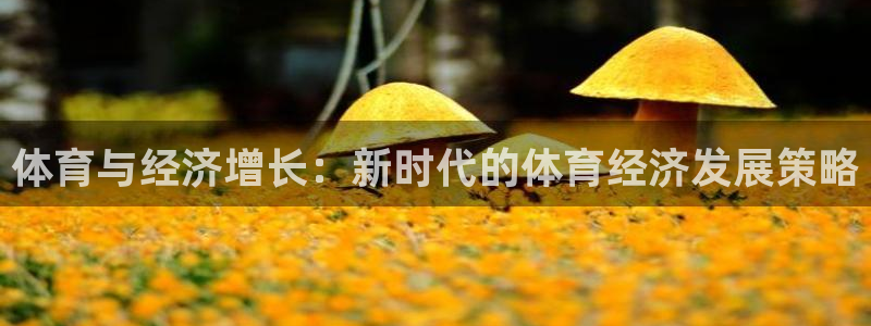 杏宇体育凯捷平台注册：体育与经济增长：新时代的体育经济发展策略