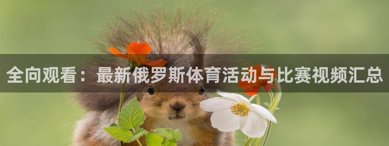 无锡意昂：全向观看：最新俄罗斯体育活动与比赛视频汇总